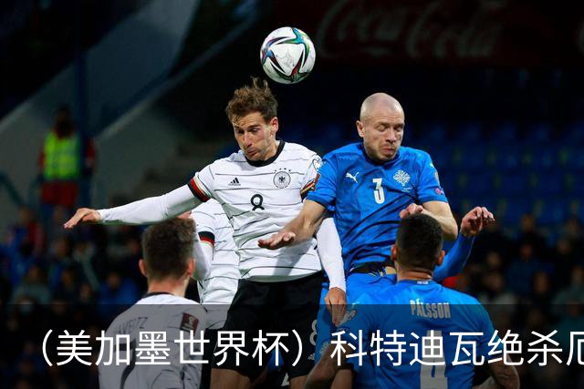 （美加墨世界杯）科特迪瓦绝杀厄瓜多尔 瑞典5:1大胜突尼斯