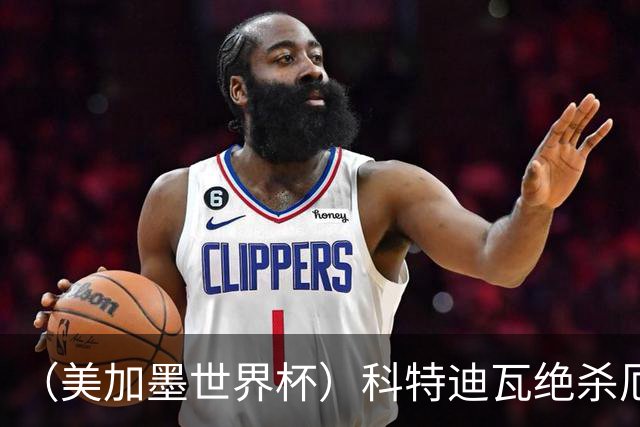 （美加墨世界杯）科特迪瓦绝杀厄瓜多尔 瑞典5:1大胜突尼斯